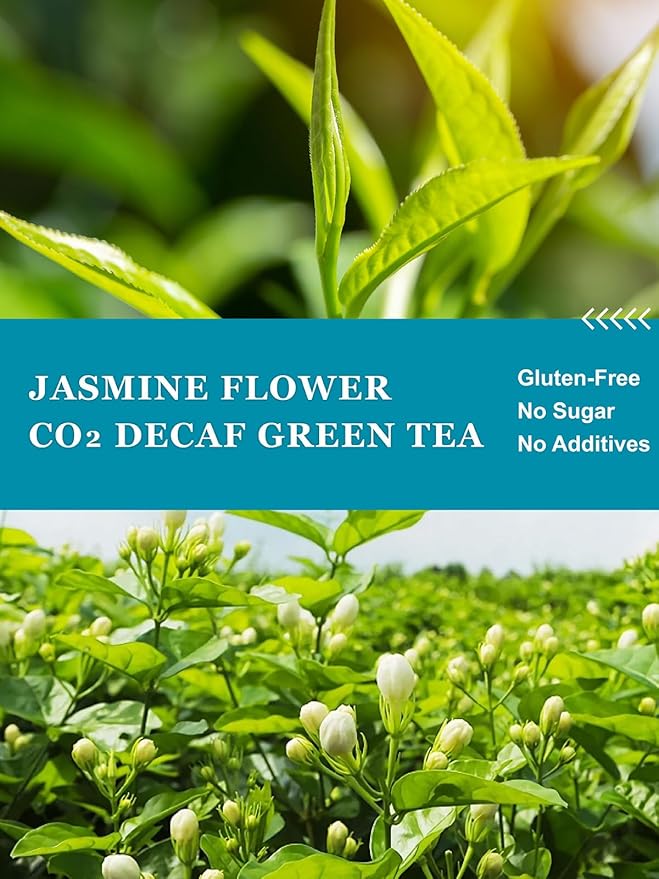 HYNTMYT Decaffeinated Jasmine Green Tea Bags, CO₂ Decaf Green Tea Scented with Jasmine Flower, Natural Floral Aroma, Fragrant, 120 Count - Bloomnest