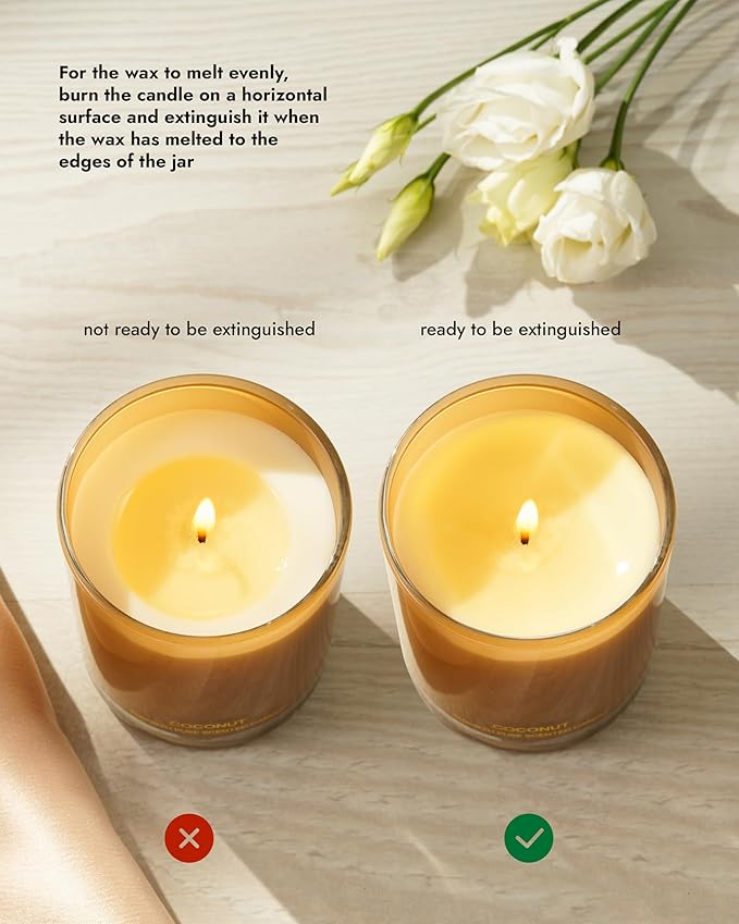 96NORTH | Pure Coconut Candle | 100% Natural Soy Wax | One Wick Jar Candle | Natural Fragrance Technology | Non Toxic | Up to 35 Hours Burning Time | Aromatherapy Gift for Men and Women - Bloomnest