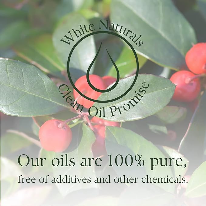 Wintergreen Essential Oil,100% Pure Natural Organic Therapeutic Grade for Aromatherapy Diffuser, Winter Green Oil for Inhalation Therapy, DIY Soap Candle Making, Refreshing, Crisp & Woodsy Scent - Bloomnest