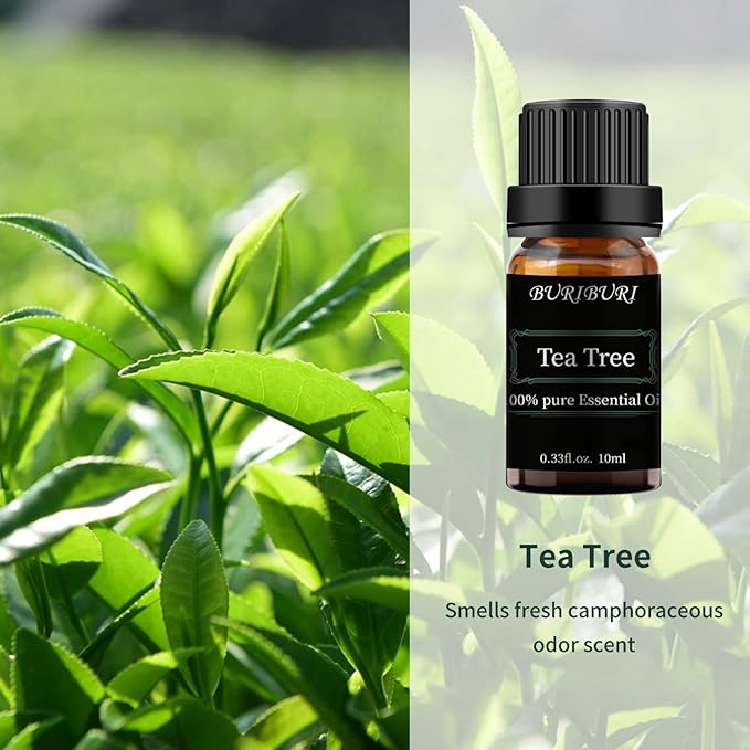 BURIBURI Tea Tree Essential Oil, 100% Pure, Undiluted, Natural Tea Tree Oil Aromatherapy Essential Oils 10ml for Diffuser, Massage - Bloomnest