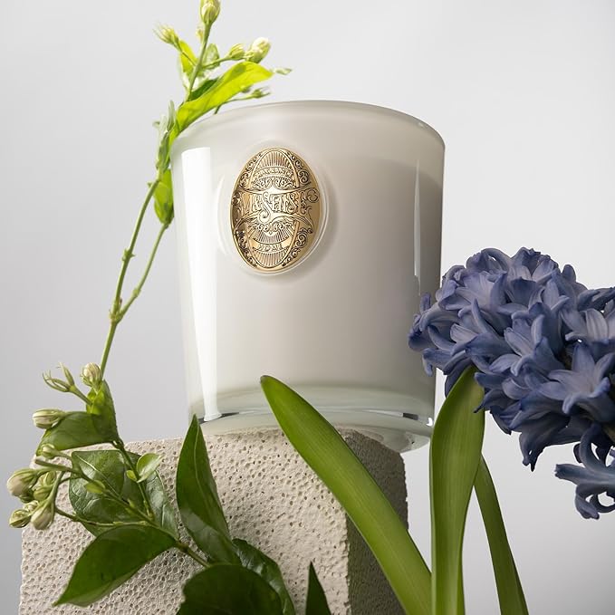 M&SENSE Natural Soy Candle | Vanilla Dream & White | 9.2 oz, 50H Burn Time | Luxury Scented Candle for Relaxation, Gifting, Home Décor | Ideal for Bedroom, Office, Party Ambiance - Bloomnest