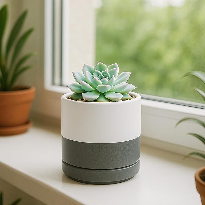 D'vine Dev Set of 4 Small Ceramic Plant Pots, 3.5 Inch Succulent Planter Pot for Plants with Drainage Hole and Saucer, White/Speckled Grey, 94-X-A-6 - Bloomnest