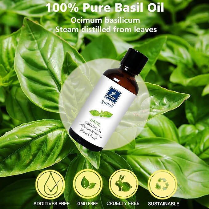 Basil Essential Oil 1 Oz – 100% Pure Natural Basil Oil for Diffuser, Skin, Massage & DIY, Fresh Herbaceous Aroma - Bloomnest