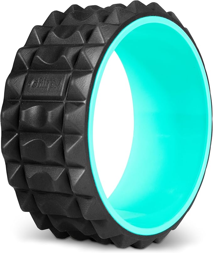 Chirp Wheel XR Acupressure - Back Relief & Muscle Relaxation, Stress Melting, Targeted Trigger Point Release, Comfort Cushioning, High-Density Foam Roller, 500lbs Capacity, 10" Mint - Bloomnest