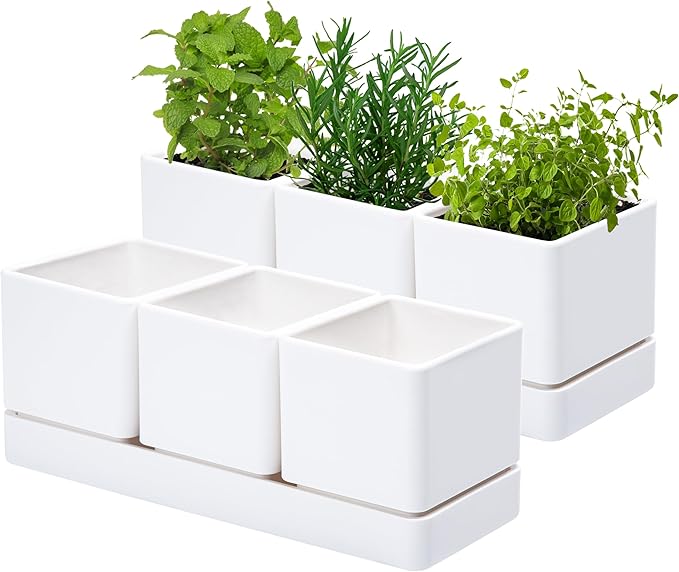 D'vine Dev Herb Garden Planter Set, Plastic Plant Pots with Drainage and Saucer, Indoor Succulent Cactus Vegetable Pot for Windowsill, Garden Balcony, White, Set of 2, 76-V-A-2 - Bloomnest