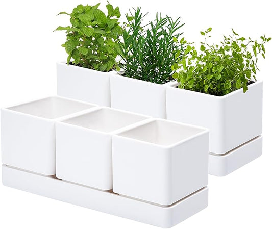 D'vine Dev Herb Garden Planter Set, Plastic Plant Pots with Drainage and Saucer, Indoor Succulent Cactus Vegetable Pot for Windowsill, Garden Balcony, White, Set of 2, 76-V-A-2 - Bloomnest