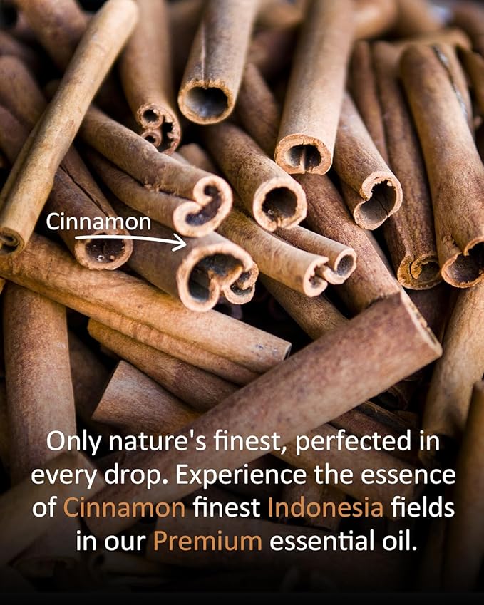 Cinnamon Essential Oil, 100% Pure Natural Cinnamon Oil, Large 4 fl oz / 120 ml for Diffusers, DIY Candles, Soaps, Bath Bombs, Aromatherapy, Gentle Cozy Aroma for Home & Holiday Scents Airoomoil