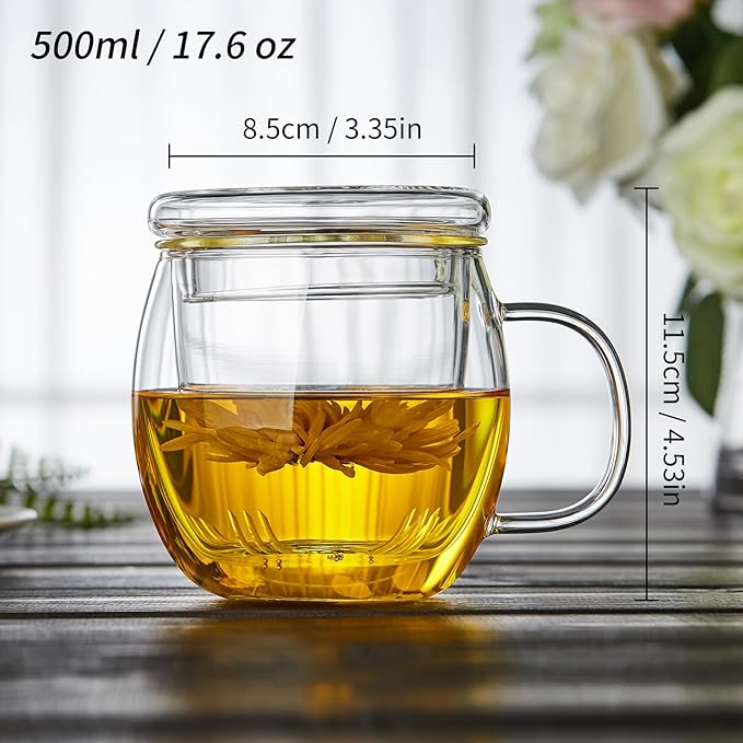 Glass Tea Cup with Infuser and Lid, 17oz/500ml Large Borosilicate Teacup, Clear Mug for Loose Leaf Tea, Blooming Tea, Tea Bags - Perfect Christmas or Birthday Gift for Women - Bloomnest