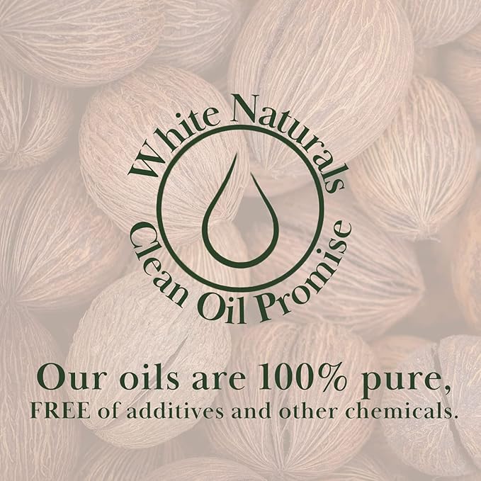 Organic Nutmeg Essential Oil - 100% Pure & Natural -Premium Therapeutic Grade with Premium Glass Dropper - Undiluted Natural/Homeopathic Aromatherapy Scented, Great for DIY Candle Making, Massage - Bloomnest