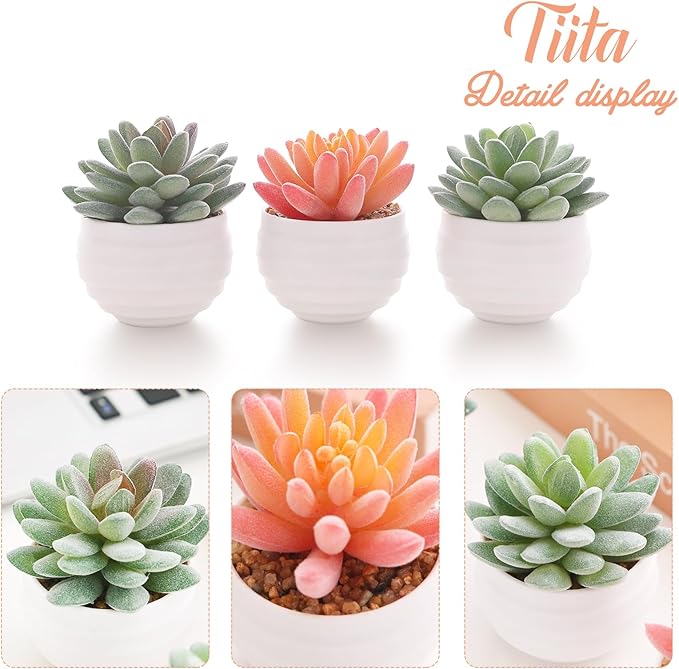 Tiita Artificial Faux Succulents in Pots Fake Plants Ceramic Arrangement Planter for Women Desk Small Mini Tiny Decoration for Home Office Desk Window - Bloomnest