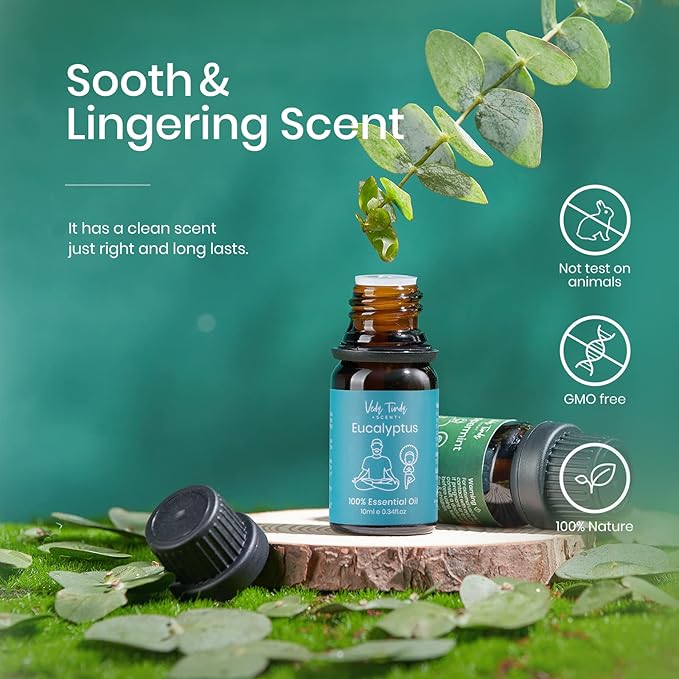 Eucalyptus Essential Oil, 100% Pure Nature Organic Eucalyptus Oil for Diffuser, Refreshing, Clear Head, 0.34 fl oz 10ml - Bloomnest