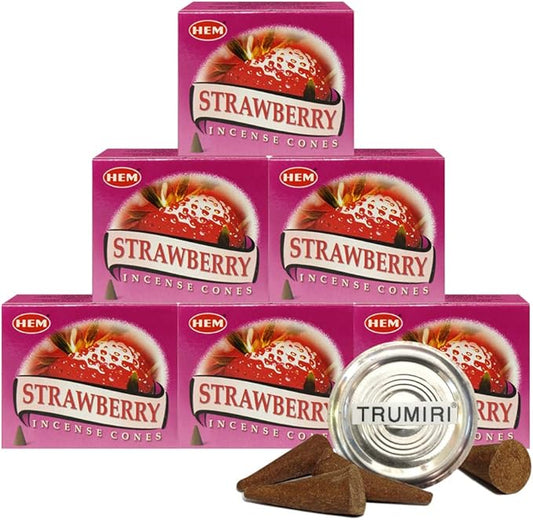 TRUMIRI Incense Cone Holder Bundle with Hem Strawberry Incense Cones - Pack of 6 (Approx 60 Cones) TRUMIRI