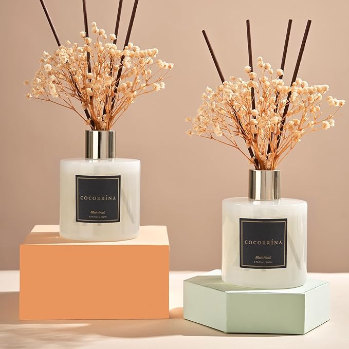 Cocorrína Premium Reed Diffuser Set with Preserved Baby's Breath & Cotton Stick Black Forest 2 Packs, 6.7oz Scent Fragrance Oil Diffuser for Bedroom Bathroom Home Décor - Bloomnest