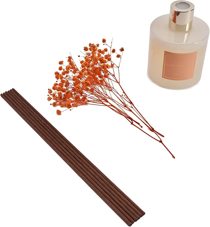 Cocorrína Premium Reed Diffuser Set with Preserved Baby's Breath & Cotton Stick Coconut Lime | 6.7oz Scent Fragrance Oil Diffuser for Bedroom Bathroom Home Décor - Bloomnest