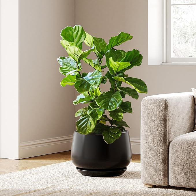 LE TAUCI Ceramic Planters, 12 Inch Pots for Plants, Indoor Plant Pots with Drainage Holes and Saucers, Modern Planters Fit Mid Century Plant Stand, Flower Pots for Indoor Plants, Black - Bloomnest