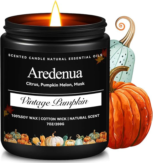 Vintage Pumpkin Candle – Holiday Soy Candles for Thanksgiving & Christmas | 7oz Pumpkin Scented Candle | Cozy Winter Candles Gift for Home Décor, Fall & Holiday Aromatherapy Gifts for Women Men - Bloomnest