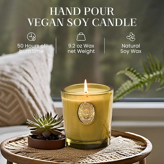 M&SENSE Natural Strong Soy Candle | Sandalwood Jasmine & Green | 9.2 oz, 50H Burn Time | Luxury Candle for Relaxation, Gifting, Home Décor | Ideal for Bedroom, Office, Party Ambiance - Bloomnest
