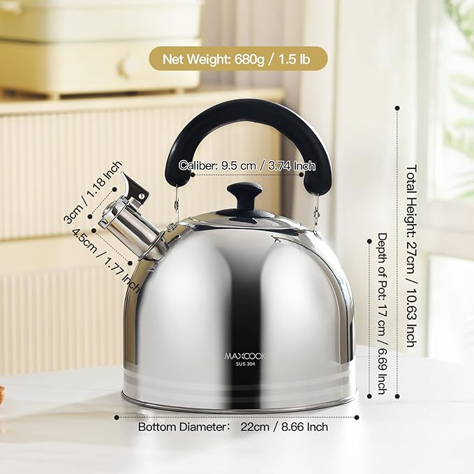 Whistling Tea Kettle for Stovetop, 5L Stainless Steel Tea pot Kettles,Striped frosted water pot, Large kettle teapot with Cool Touch Ergonomic Handle(Mirror Polish) - Bloomnest