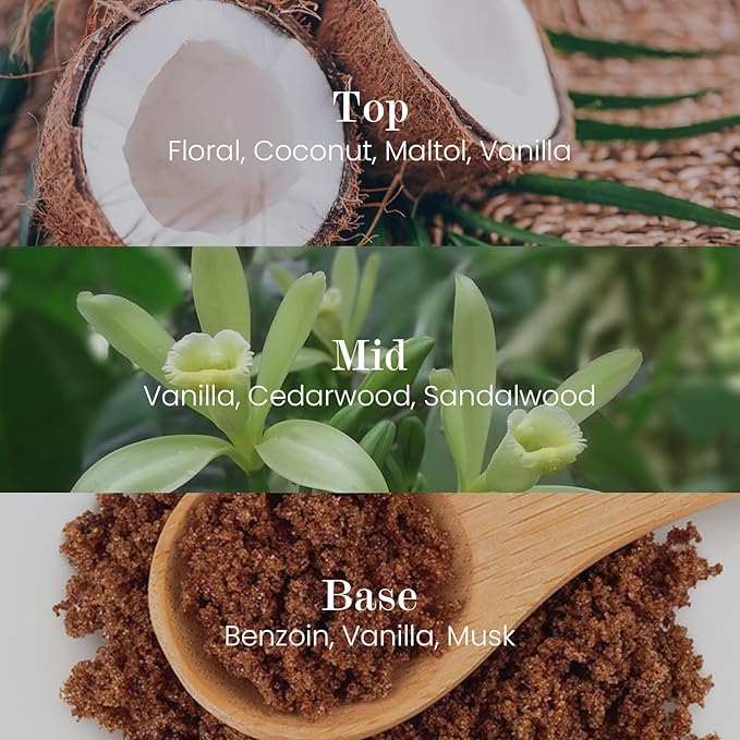 M&SENSE Natural Soy Candle| Vanilla Sandalwood | 5.3 oz | Minimalist Scented Candle for Relaxation, Gifting, Home Décor | for Bedroom, Office, Party Small - Bloomnest
