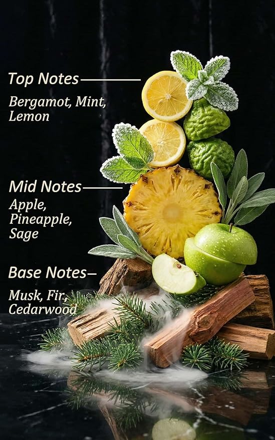 Hotel Diffuser Oil Inspired by Baccarat NYC – Fragrance & Essential Oil Blend for Waterless & Cold Air Diffusers – Bergamot, Mint, Cedarwood – Long-Lasting Aroma – Aromatherapy – 4 Fl Oz Glass Bottle - Bloomnest