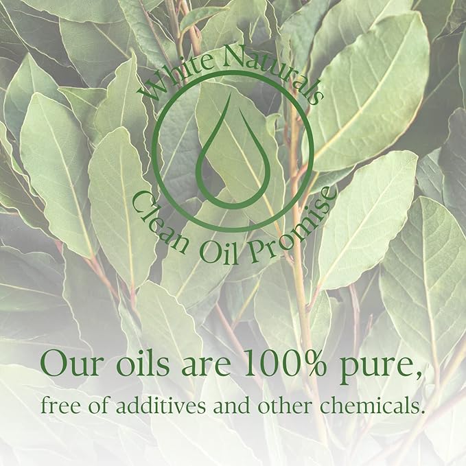 White Naturals Organic Laurel Leaf Essential Oil, 100% Pure Therapeutic Grade Undiluted Natural/Homeopathic Aromatherapy Scented Bay Essential Oil for Diffuser, Vegan Cruelty-Free 1 oz - Bloomnest