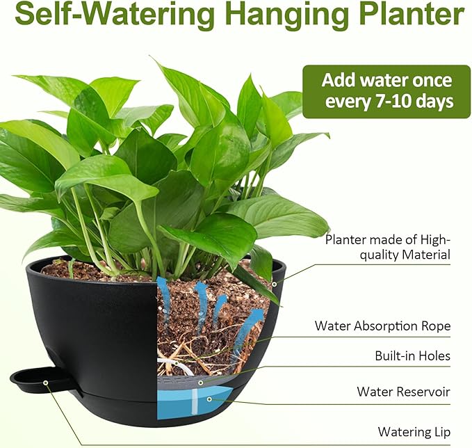 WOUSIWER Self Watering Hanging Planters, 2 Pack 10'' Plastic Pots with Drainage Holes & Reservoir Tray (Black) | Indoor & Outdoor Use for Ferns, Ivy, Herbs, Succulents - Bloomnest