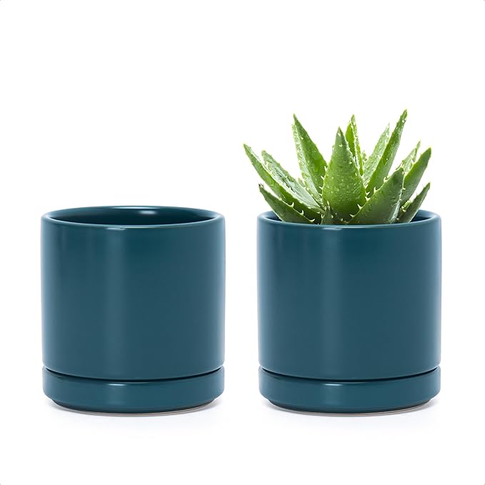 D'vine Dev Set of 2 Plants Pots, 3.5 Inch Ceramic Planter Pot for Plants with Drainage Hole and Saucer, Teal, 94-V-A-9 - Bloomnest