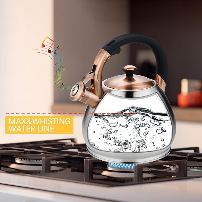 Tea Kettle Stovetop Whistling Kettle Teapot, 3Quart Tea Pot Stainless Steel Teakettle for Stove Top with Heat Proof Ergonomic Handle - Bloomnest