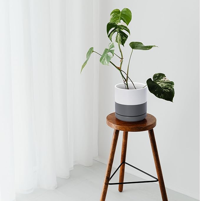 D'vine Dev Set of 2 Plants Pots, 6.5 Inch Ceramic Planter Pot for Plants with Drainage Hole and Saucer, White/Speckled Grey, 94-V-C-6 - Bloomnest
