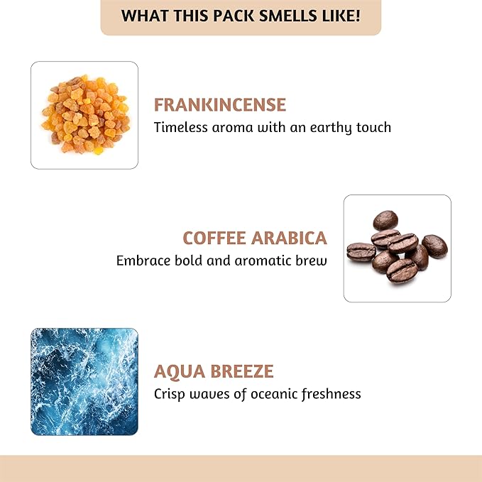 Folkulture Essential Oils for Diffuser for Home | Set of 6 Essential Oil Set | Essential Oil for Candle Making | Essential Oils for Soap Making - Frankincense, Lavender Oils for Relaxation - Bloomnest