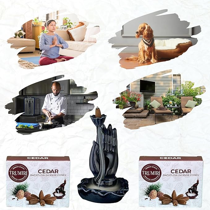 Cedar Backflow Incense Cones - 60 Total, Six Packs of 10, Waterfall Effect TRUMIRI