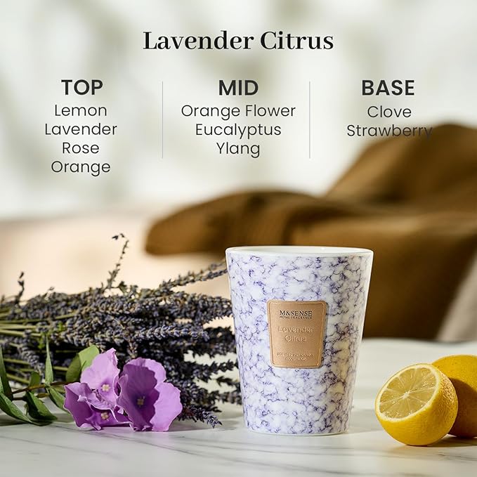 M&SENSE LavenderCitrus Scented Candles for Home, Lead-Free Wick Highly Scented Jar Candles, 14.1 Oz 80 Hours Lasting Burning Candles Gifts for Women, Relaxing Aromatherapy Candle for Stress Relief - Bloomnest