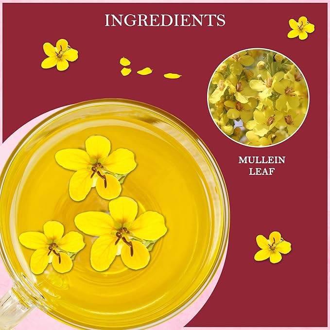 Tealeaf & Co. Mullein Leaf Tea Blended with Fresh Herbs - Pure Herbal Tea Bags with Mullein Leaf Extract - Flavored Herbal Blend - Low Caffeine - Gluten Free - 50 Teabags - Bloomnest