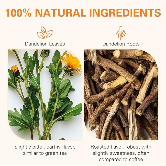 WT WEETEE Dandelion Leaf & Root Tea Bags, 100% Pure Dandelion Leaf and Roasted Dandelion Root Blend, Natural Caffeine-free Herbal Tea 2g x 100 Counts - Bloomnest
