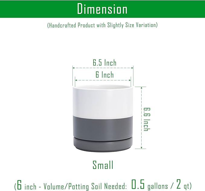 D'vine Dev Set of 2 Plants Pots, 6.5 Inch Ceramic Planter Pot for Plants with Drainage Hole and Saucer, White/Speckled Grey, 94-V-C-6 - Bloomnest