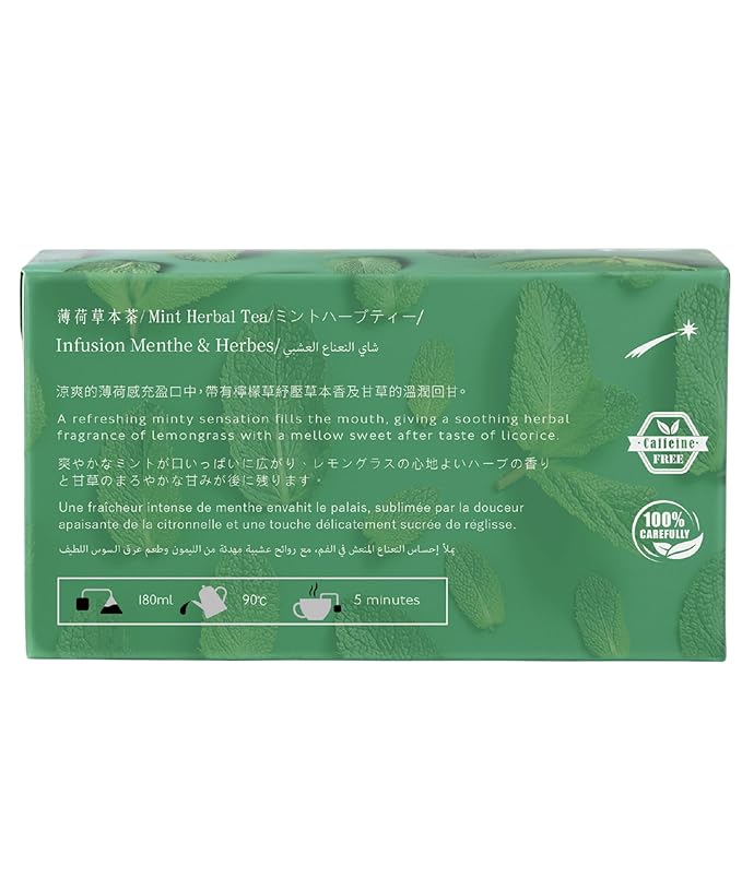 EZR Leaf Mint Herbal Tea, Caffeine Free Decaf, Pyramid Tea Bags 20 Counts 2.1 Once German Peppermint, Lemongrass, Licorice Blend for Relaxation, After-Meal, Bedtime - Bloomnest