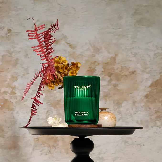 Jar Candles for Home Scented, Aromatherapy Candles Gifts for Women & Men, Natural Soy Candle, 8.4oz Traditional Style, Wild Mint & Eucalyptus - Bloomnest