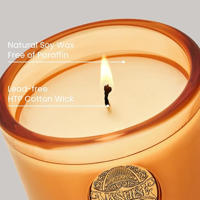 M&SENSE Natural Soy Candle | Pumpkin Apple Pie & Orange | 9.2 oz, 50H Burn Time | Luxury Scented Candle for Relaxation, Gifting, Home Décor | Ideal for Bedroom, Office, Party Ambiance - Bloomnest