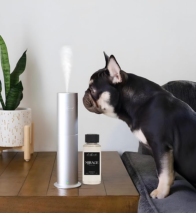 Aroma Scent Diffuser Starter Kit for Up to 1000SQ. FT. Coverage - 120ML Waterless Essential Aroma Scent Oil Included - Luxury Aroma Diffuser Ideal for Home, Office & Hotel (Silver, Mirage) - Bloomnest