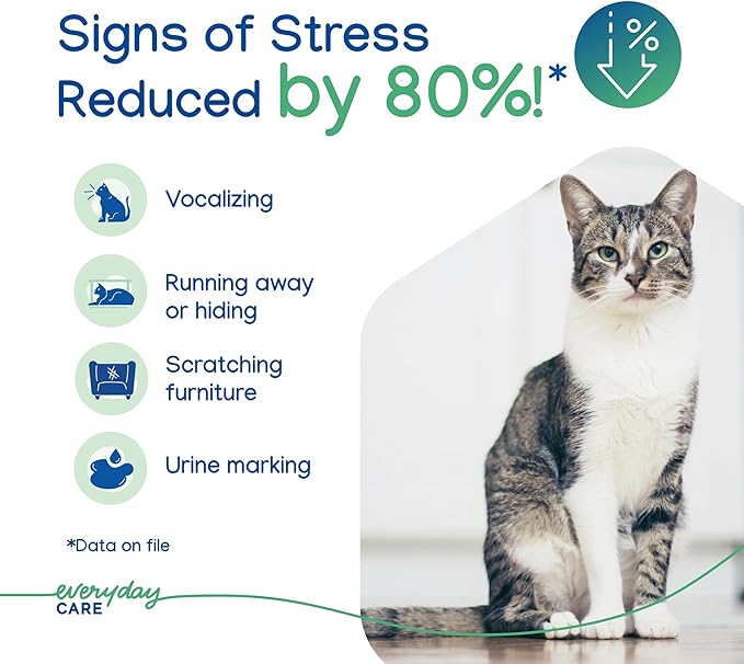 Virbac Zenifel Gel Diffuser for Managing Stress-Related Behaviors in Kittens & Cats - No Electricity Needed - Lasts Up to 2 Months - 1 Diffuser - Bloomnest