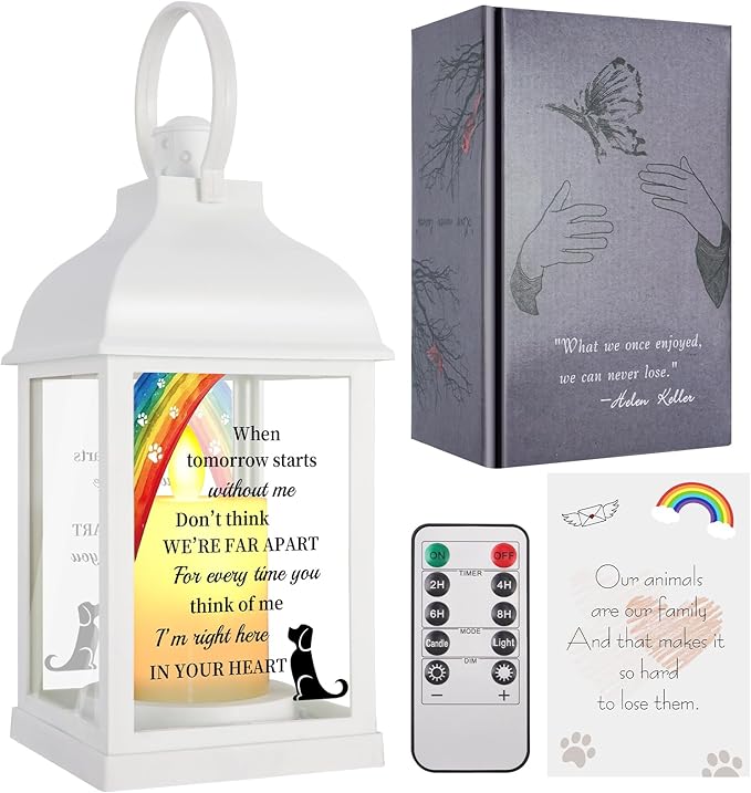 Dog Memorial Gifts with Remote - Sympathy Bereavement Gifts for Loss of Dog, Rainbow Bridge Memorial Lantern for Grieving Pet Owner - Bloomnest