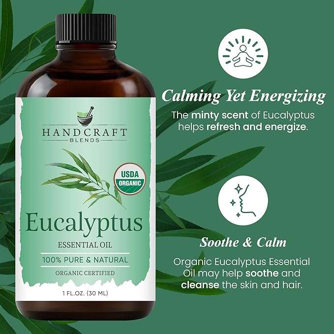 Handcraft Blends Organic Eucalyptus Essential Oil – 1 Fl Oz – 100% Pure and Natural – Premium Grade Essential Oil for Diffuser and Aromatherapy HandcraftBlends