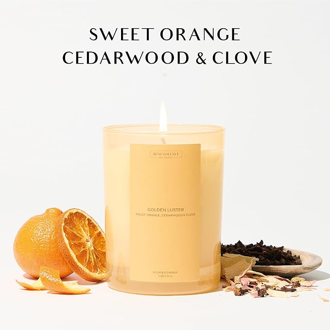 Orange, Cedarwood & Clove Scented Candle | 11oz, 60 Hour Burn | Natural Soy Wax, Cotton Wick | Fall & Holiday Candles | Christmas Scented Candles for Home | Sun-Kissed Collection - Golden Luster - Bloomnest