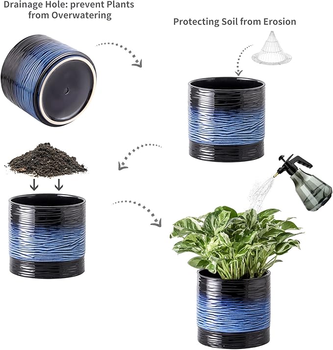Nihow Ceramic Plant Pot: 6 Inch Planter with Drainage Hole & Saucer for Indoor & Outdoor Plants - Cylinder Round Flower Pot for Succulent/Herbs/Violets - Black & Vivid Blue - Bloomnest