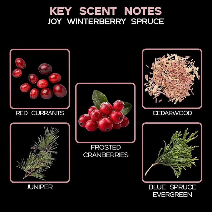 LOVSPA Joy Winterberry Spruce Diffuser Oil - Holiday Essential Oils for Diffuser Refill & Air Freshener Room Spray - Long-Lasting & Natural Home Fragrance, Scented Oil for Diffusers, USA Made, 4oz - Bloomnest