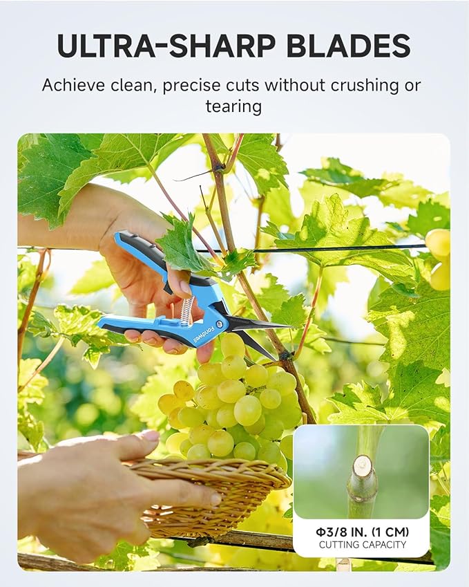 Fondwell 6.5" Pruning Shears Trimming Scissors: 2 Pack of Non-Stick Gardening Scissors - Reliable Garden Snips for Managing Small Plants - Bloomnest