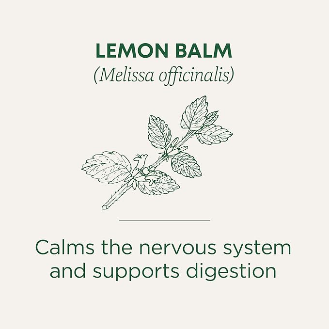 Traditional Medicinals Organic Lemon Balm Tea, Tea Bags | Herbal | Pack of 2 | 16 Count | Calming - Bloomnest