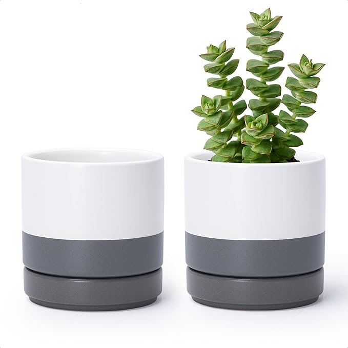 D'vine Dev Set of 2 Plants Pots, 4.7 Inch Ceramic Planter Pot for Plants with Drainage Hole and Saucer, White/Speckled Grey, 94-V-B-6 - Bloomnest