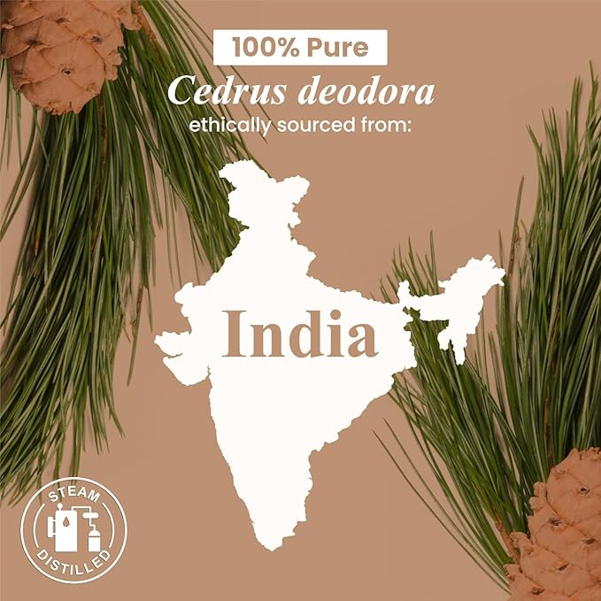 Handcraft Blends Cedarwood Essential Oil – Huge 4 Fl Oz – 100% Pure and Natural – Premium Grade Essential Oil for Diffuser and Aromatherapy, Skin, Massage, Candle and Soap Making Fragrance - Bloomnest