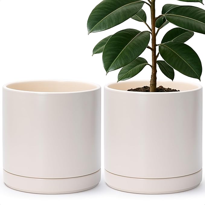 D'vine Dev Set of 2 Plants Pots, 10 Inch Ceramic Planter Pot for Plants with Drainage Hole and Saucer, Oatmeal, 94-V-E-8 - Bloomnest